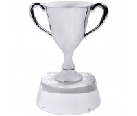 Стела  "Кубок победителя" в подарочной упаковке Цвет: серебристый